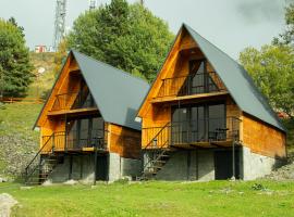 Cottage Paradise, hotel en Kazbegi