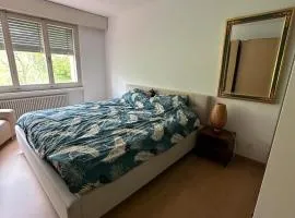 Nice quiet room, 15 min from downtown