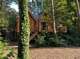 New Unique Treehouses in Oisterwijk