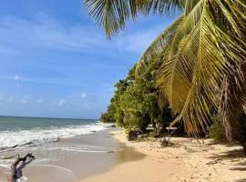 Bambou Suite vue mer à 50 m de la plage et de la piscine