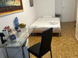 Schönes Zimmer in der City Basel