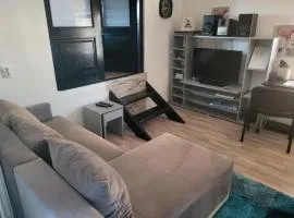 Apartman Djokic 1