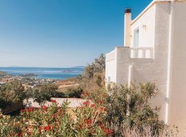 Villa Il Paradiso Andros, hotel v mestu Gavrion