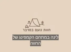 חוות נועם במדבר - noam farm