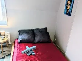 Jolie chambre tout confort et calme ! à pied , 5min de la gare ! de la cathédrale ! et des bords de Loire ! localisation top ! MAIS merci de BIEN lire ma présentation personnelle, car le site impose la sienne, lire jusqu'à section profil