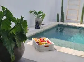 Tropical Loft, One BR With Pool