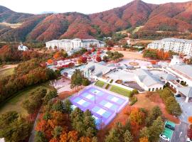 Oak Valley Resort, hotel com piscina em Wonju