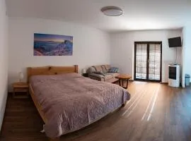 Vila Olívia - Apartmán Olívia 2