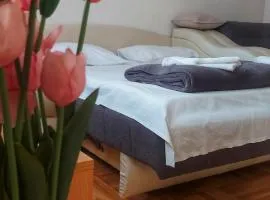 Apartman studio Jefimija