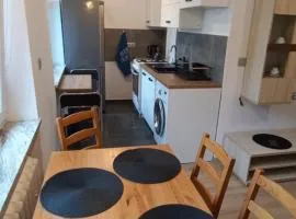 Apartament JUKI 2, obok Katowice Wynajem na doby, krótkoterminowy, 2 pokoje, możliwość dodatkowych dwóch osób na rogówce w salonie za dodatkową opłatą, 37m2,- po kapitalnym remoncie, Wifi