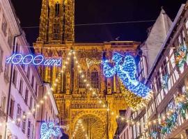 Maison neuve chaleureuse pour 1 à 4 personnes à 10 minutes du célèbre marché de noël, hotel i Schiltigheim