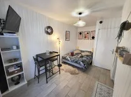 Studio cosy au cœur du quartier Saint-Pierre