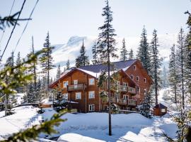 Alpin Eco Chalet & Wellness, hotel en Dragobrat