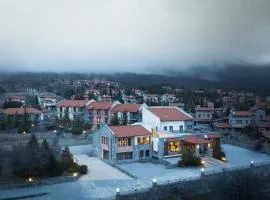 Domotel Neve Mountain Resort