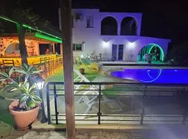 Citrus Villa With Outdoor Bar