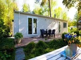 Well-kept chalet in a holiday park, adjacent to the Hoge Veluwe National Park