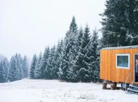 Una stanza nel bosco di Sauris - Friland