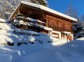 Chalet Tschengla, hotelli kohteessa Bürserberg