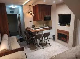 Apartmani Iva Kop Konaci