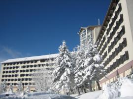 Ringberg Hotel, Hotel in Suhl