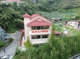 KRS Pines Hotel