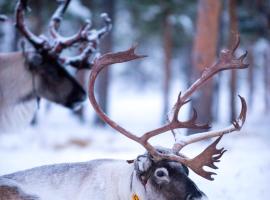 Reindeer Lodge: Jukkasjärvi şehrinde bir orman evi