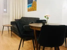 Apartament Teatralny Opole