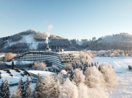 Sauerland Stern Hotel, hotel sa Willingen