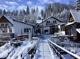 Podul De Brazi - Fir Bridge, lodge di Cirtisoara