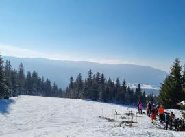 Enjoy the Silence Holiday Home, hotel i Vlašić