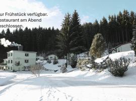 Pension Am Waldesrand – hotel w mieście Ilmenau