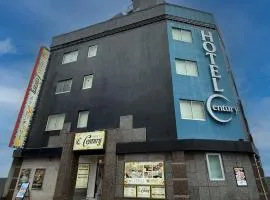 Hotel Century