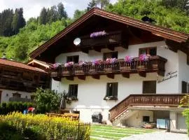 Haus Schneeberg - 3 apartments for 10 people