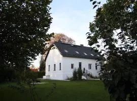 Haus mit Pool, Garten und Gym in Berlin