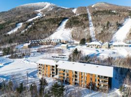 Les Appartements du Massif de Charlevoix，聖佛朗斯小溪的飯店