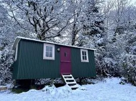 Chepstow - Cabin - Hot tub - Pet Friendly