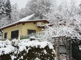 FEWO zum gscheiten Beck Hunde willkommen eingezäunter Garten