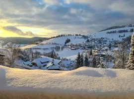 NATURVERLIEBT by Schwarzwaldquartier zu Fuß zu Skilift und Loipe Sauna im Haus Spielzimmer Tiefgarage