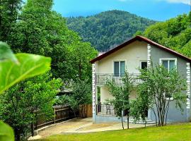 Cottage Timotea, ξενοδοχείο σε Borjomi