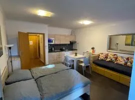 Apartman Harrachov - Resident