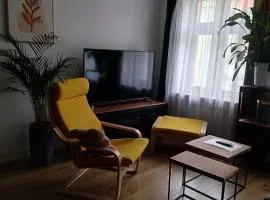 Apartament KO-Piernika w samym sercu Torunia :)