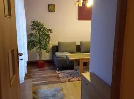 Apartament-Mieszkanie Gniezno-na doby