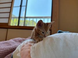 Nyanstay: A place where you can stay with cats - Vacation STAY 17979, hotel a Kure