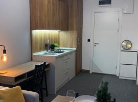 Apartman Glečer Vila Bela Reka, hotel en Brzeće