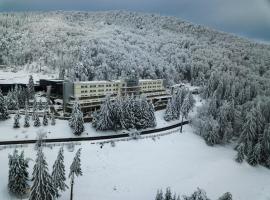 Balvanyos Resort - Peakture Hotel & Grand Hotel Balvanyos, ξενοδοχείο σε Balvanyos