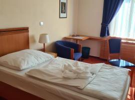 Hotel Slovan، فندق في جيسينيك