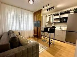 Central Charm Apartment