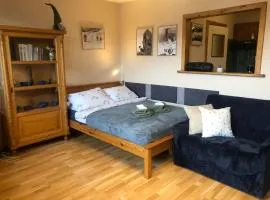 Apartament Nowotarski