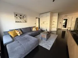 Apartment with terrace and parking in Prague