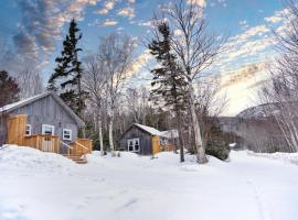 Trailside Accommodations and Outdoor Adventures, koliba u gradu Birch Plain